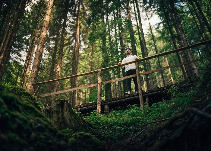 Torghele's Wald & Fluh