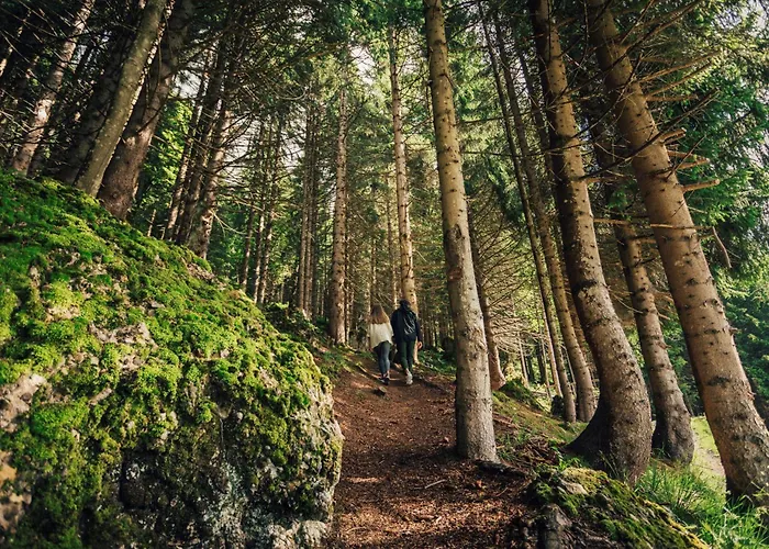 Torghele's Wald & Fluh *