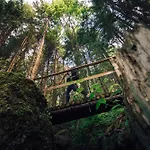 ホテル Torghele's Wald & Fluh