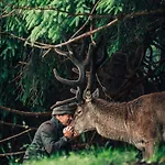 Torghele's Wald & Fluh *