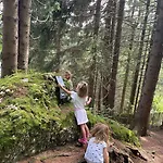 ホテル Torghele's Wald & Fluh *