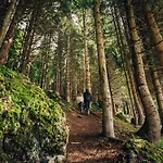 Torghele's Wald & Fluh *