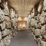 Torghele's Wald & Fluh מלון באלדרשוואנג