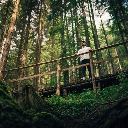 Torghele's Wald & Fluh