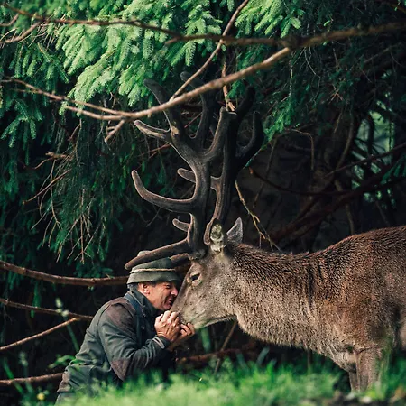 Torghele's Wald & Fluh *