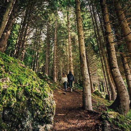 Torghele's Wald & Fluh *