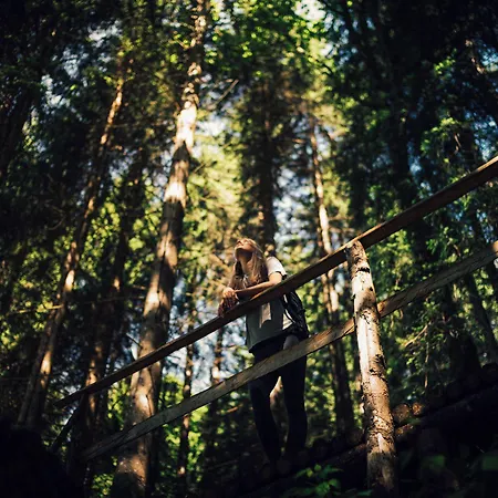 Torghele's Wald & Fluh *