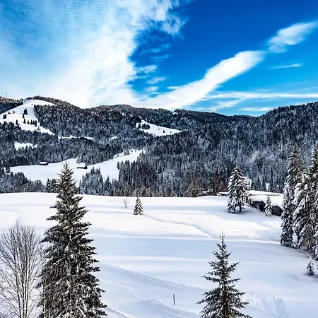 Torghele's Wald & Fluh *