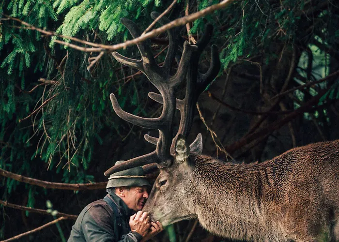 Torghele's Wald & Fluh *