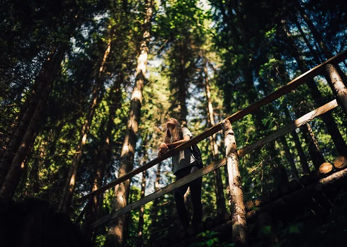 Отель Torghele's Wald & Fluh Бальдершванг